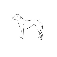 Vector Dog Head Black and White Logo, Sign, Design. symbol. Mammals. Illustrator. on white background