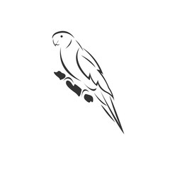 Vector of a parrot icon to animal Black and White Logo, Sign, Design. symbol. Illustrator. on white background