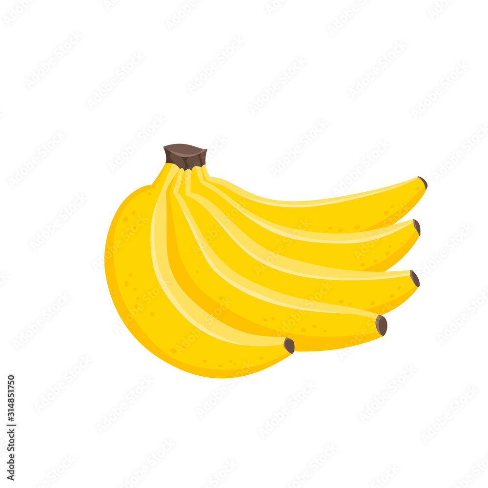 Wall mural Vector illustration of bunches of fresh banana isolated on white