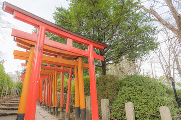 東京都文京区根津にある神社の朱色の千本鳥居