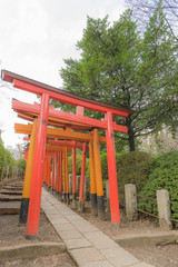 Fototapeta na wymiar 東京都文京区根津にある神社の朱色の千本鳥居