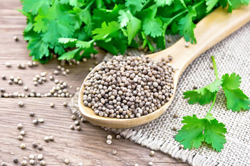 Coriander seeds in wooden spoon on old board