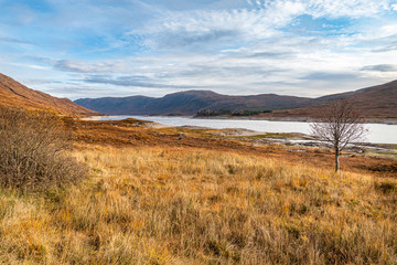 Autumn colours at Loch Cluanie in the Highlands of Scotland