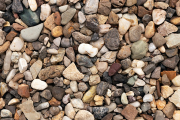 Bank gravel accumulated along the river