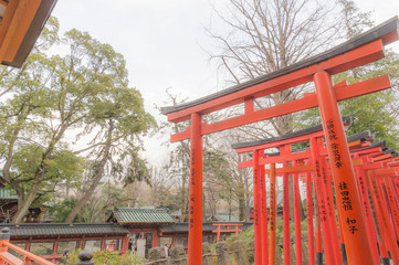 東京都文京区根津にある神社の朱色の千本鳥居