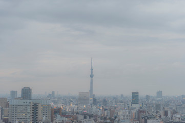 東京都文京区後楽園から見る曇りの日の東京の夕景