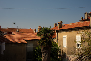 Fototapeta na wymiar Tile roof tops in Zadar Chroatia against blue sky / rooftops