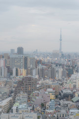 Fototapeta na wymiar 東京都文京区後楽園から見る曇りの日の東京の夕景