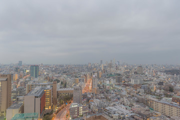 Fototapeta premium 東京都文京区後楽園から見る曇りの日の東京の夕景