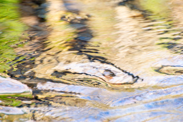 Water shapes and textures