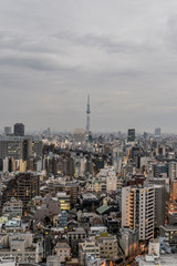 Fototapeta na wymiar 曇りの日の東京都文京区後楽園から見た東京の夕景