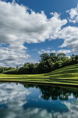 Jupiter Gardens, Scotland © Sam Hayles