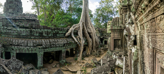 Ta Prohm Temple Siem Reap Cambodia