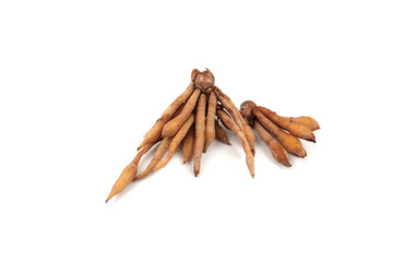 Finger root, a kind of medicinal and culinary herb from China and Southeast Asia, isolated on white background.