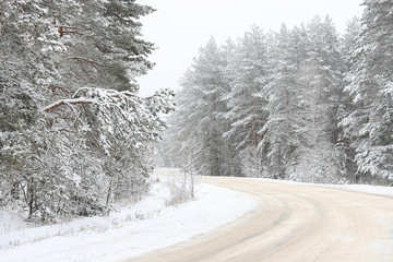 Obraz premium The road in the forest among the trees with snow on the branches