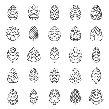 Pine cone botanical icons set. Outline set of pine cone botanical vector icons for web design isolated on white background