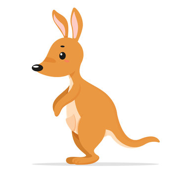 Kangaroo cartoon vector. Kangaroos are the national animal of Australia. isolate on white background.