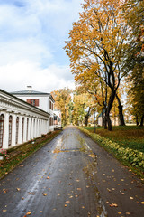 Autumn in the park. Alley of yellow deciduous trees, pedestrian road covered with fallen leaves.