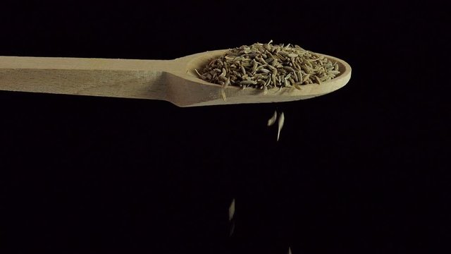 One spoon of cumin . Spices and food ingredients. Slow motion.