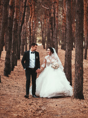Bride and groom in a forest .couple newlyweds bride and groom at a wedding in nature. Wedding Couple
