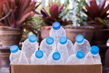 Plastic bottles in paper boxes With trees is the background.