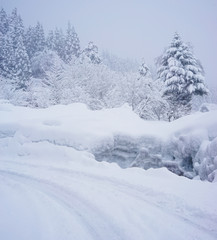 Snowy winter trees and snowdrifts at the forest