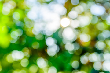 Abstract and defocused bokeh background. Ecological concept