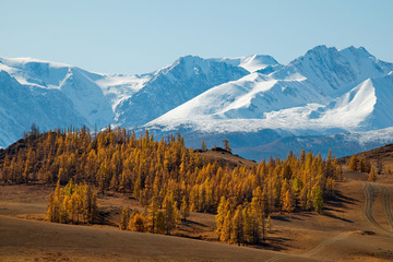Fototapeta premium Rosja. Górski Ałtaj. Pustynne stepy u podnóża pasma górskiego North Chui wzdłuż szlaku Chui.