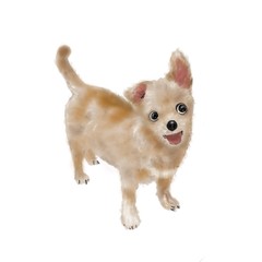 isolated of standing cute brown dog, digital paint pet illustration