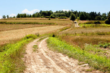 Fototapeta na wymiar Stony path among the rural landscape.