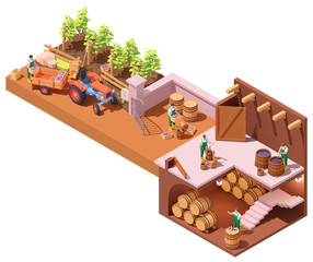 Vector isometric winery and wine making process. Wine makers on grapes harvesting on vineyard, crushing and pressing grapes, aging and bottling. Winery production process steps illustration