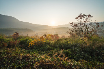 Picturesque autumn morning in the countryside in Huanghan region, close to Hongcun and Tachuan villages in China, Yi County