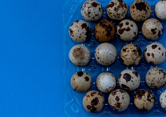 Quail eggs in a transparent plastic container on a blue background. Top view, blue background. Eggs in speckled plastic container. Place for text, lettering, copy space.