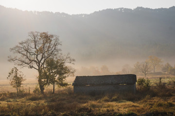 Fototapeta premium Picturesque autumn morning in the countryside in Huanghan region, close to Hongcun and Tachuan villages in China, Yi County