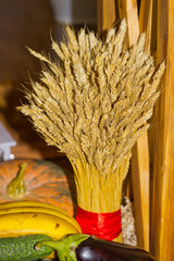 sheaf of ripe wheat ears ligated with a red ribbon