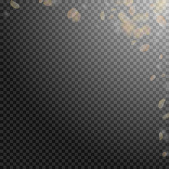 Yellow orange flower petals falling down. Enchanti