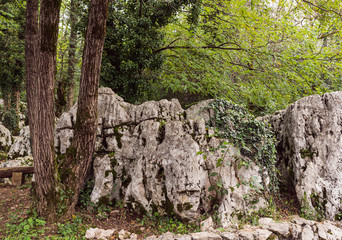 A forest  grown among stones at a tourist attraction Prometheus Cave (also Kumistavi Cave) near Tskaltubo in the Imereti region, Georgia