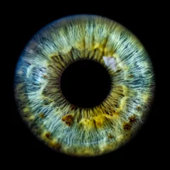 Deurstickers menselijke iris © Lorant