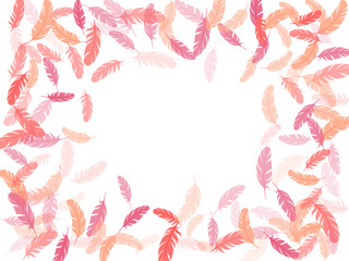 Flying feather elements airy vector design.