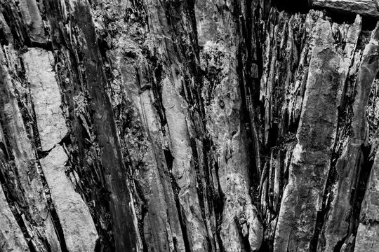 Texture patterns