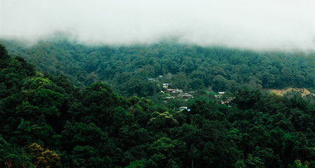 Village in the forest