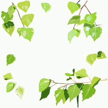 Background image with birch leaves