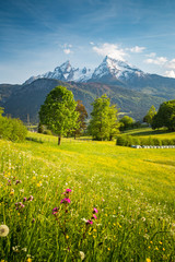 Idyllische Berglandschaft in den Alpen mit blühenden Wiesen im Frühling