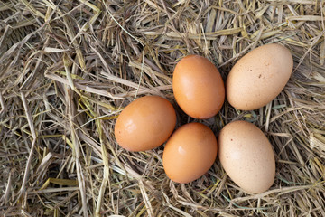 Top view fresh organic eggs on nest background.