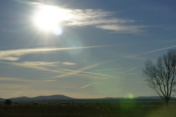 laguna gallocanta teruel aragon españa