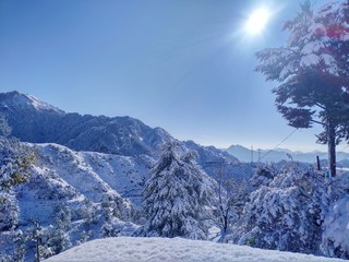 Fototapeta premium winter mountain landscape with mountains and trees