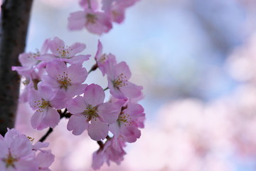 青空をバックに
