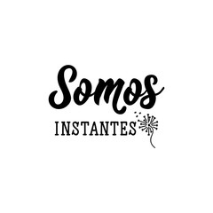We are moments - in Spanish. Lettering. Ink illustration. Modern brush calligraphy.