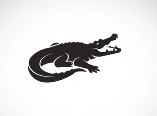 Fototapeten Vector of crocodile design on white background. Wild Animals. Reptile. Easy editable layered vector illustration. © yod67