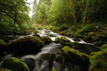 Mountain river in Slovenia, dreamy scenery, moss-covered stones